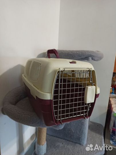 Переноска для кошек пластиковая