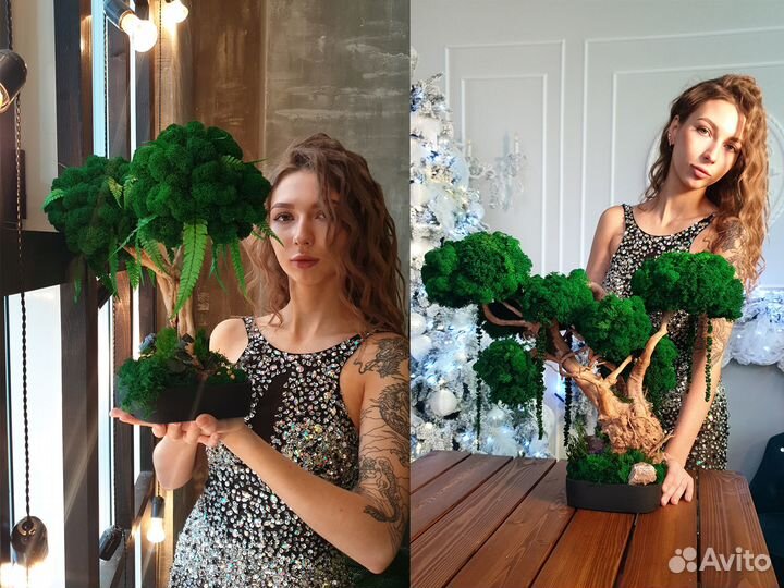 Дерево стабилизированное Бонсай