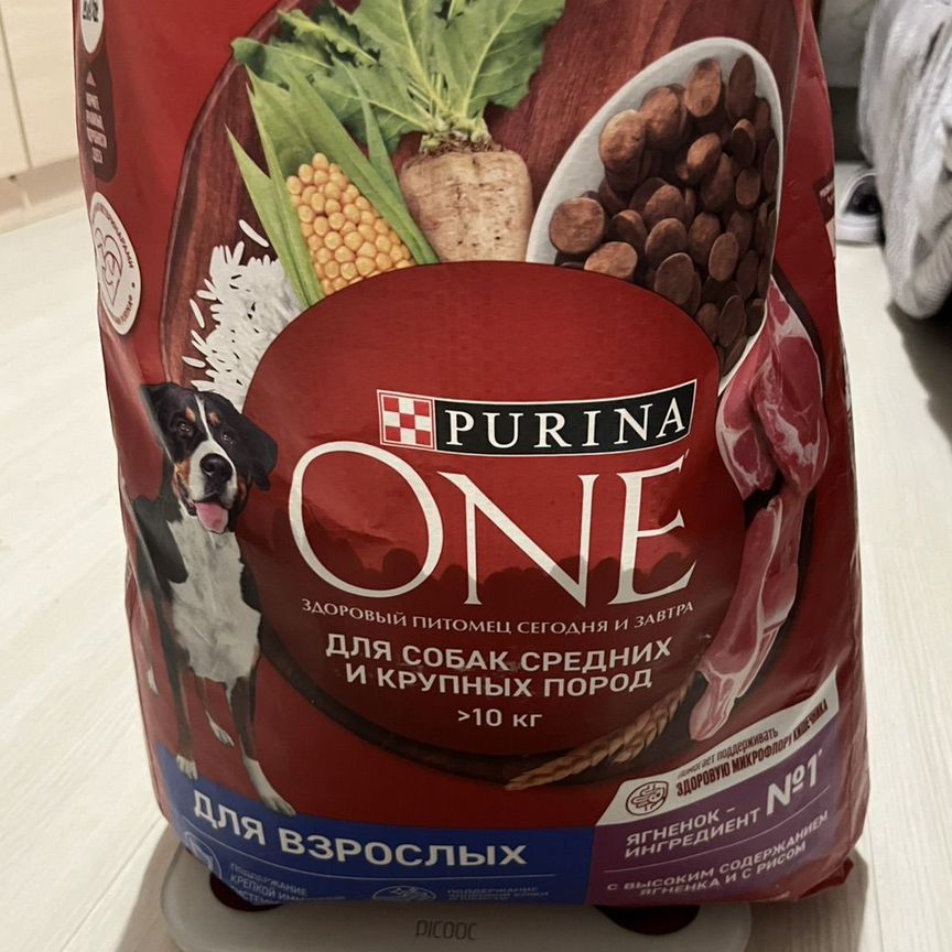 Корм purina one 10kg