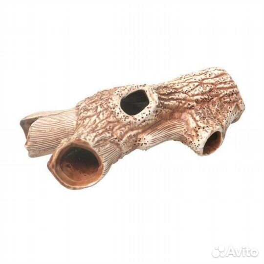 73 Коряга средняя