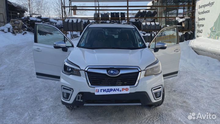 Крыша Subaru Forester (SK/S14)