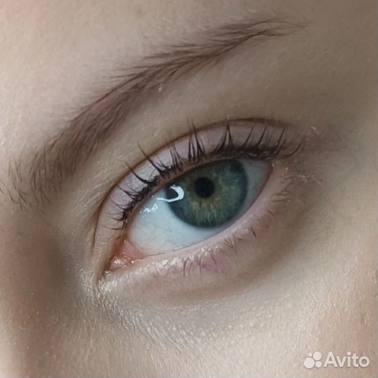 Лэшмейкер-бровист