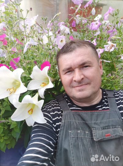 Ремонт посудомоечных машин и стиральных машин