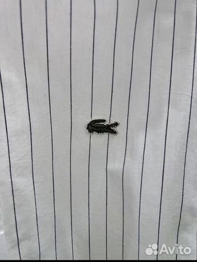 Рубашка lacoste