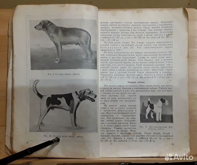 Натаска, нагонка и притравка промысловых собак