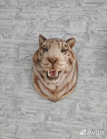 Чучело. Ручная работа