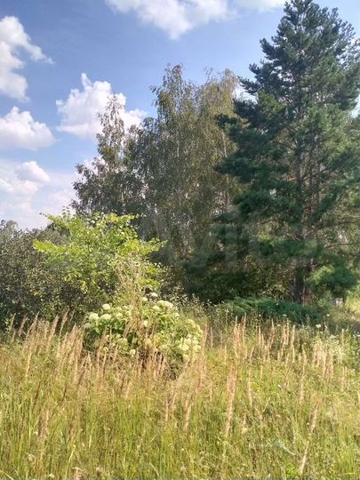 Участок 8 сот. (СНТ, ДНП)