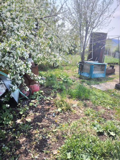 Дом 55,3 м² на участке 12 сот.