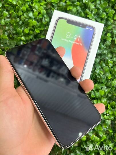 iPhone X, 256 ГБ