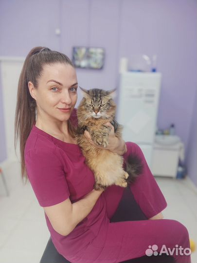 Ветеринарный врач на дом