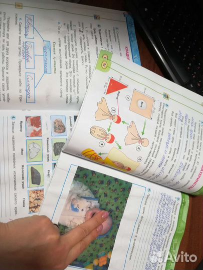 Готовые работы по окружающему миру