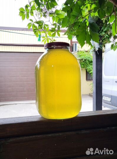 Свежий мёд Акация 2024 года