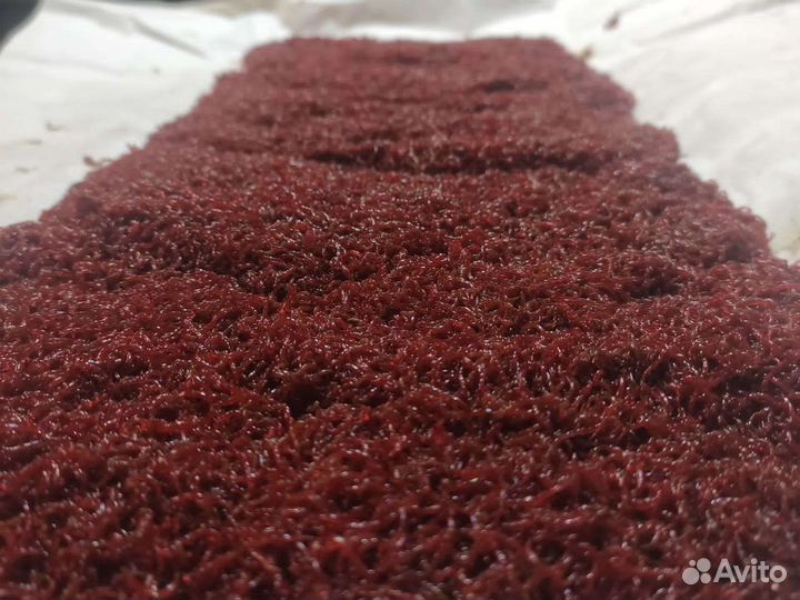 Мотыль кормовой живой