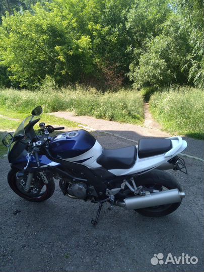 Suzuki SV1000S