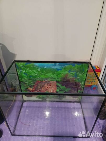 Аквариум
