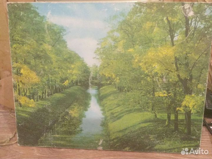 Лот картины и фото СССР винтаж