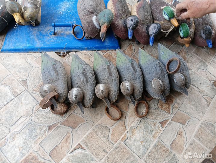 Подсадные утки