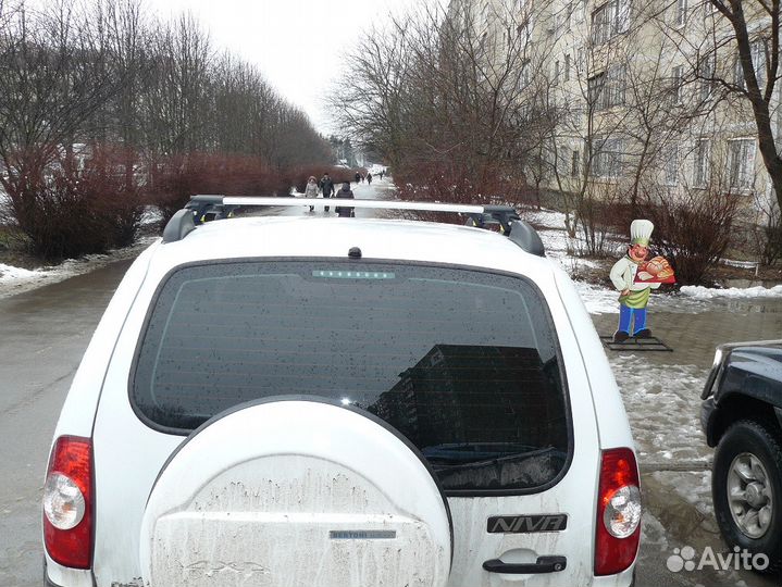 Багажник на крышу Chevrolet Niva, Turtle