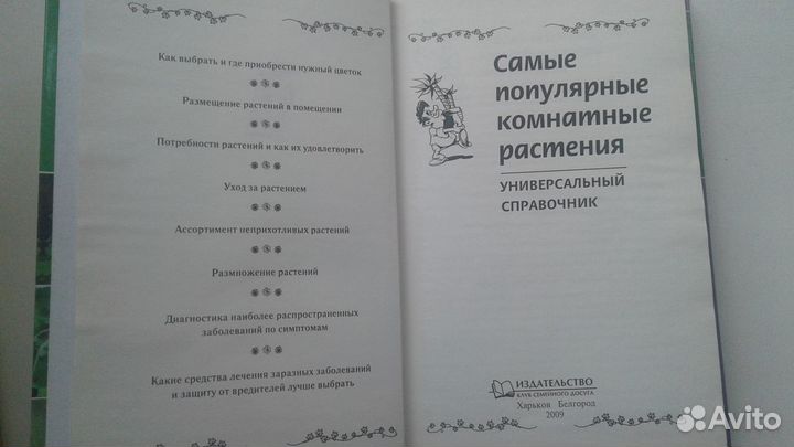 Самые популярные комнатные растения