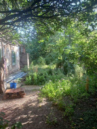 Дом 51 м² на участке 6 сот.