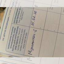 Доберман, щенок