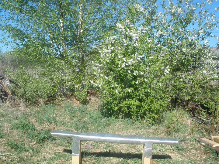 Дом 34 м² на участке 35 сот.