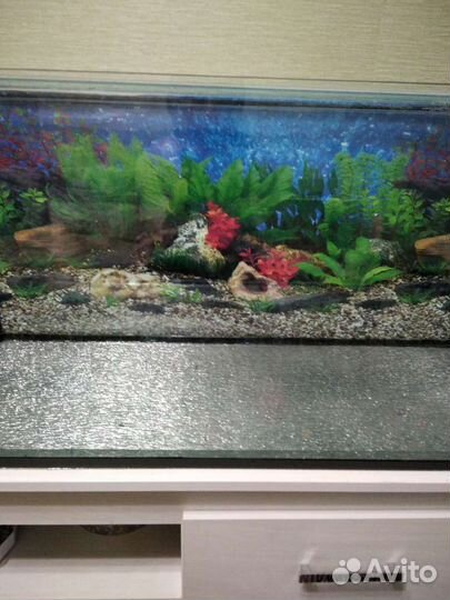 3 Аквариума