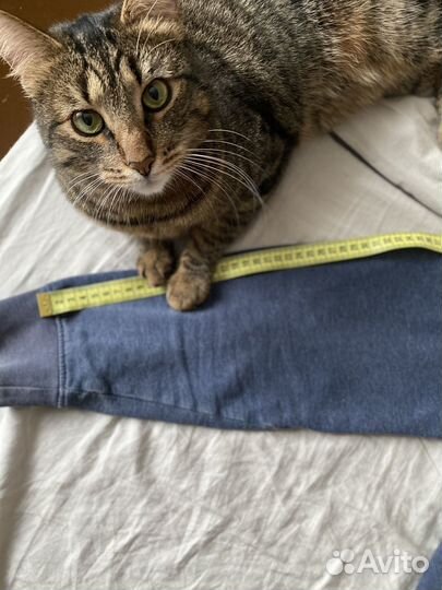 Неразлучники