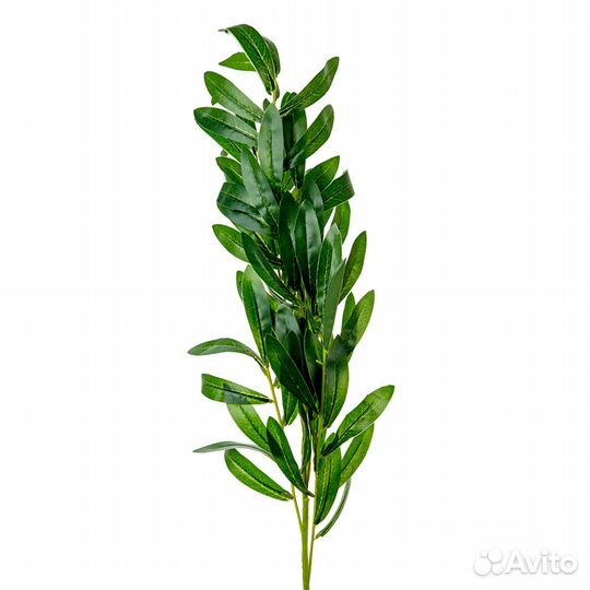 Декоративные ветки