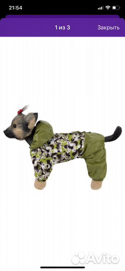 Одежда для собак бу