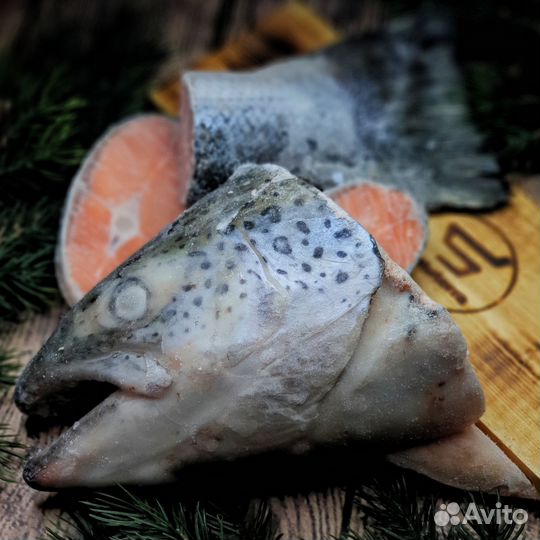 Суповой набор Лосося семги Чили