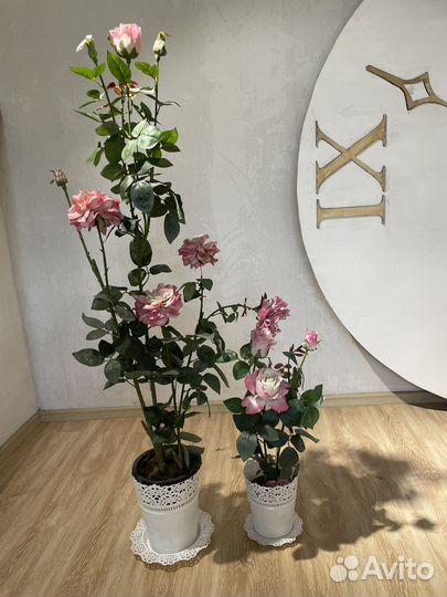 Искусственные цветы для декора бу