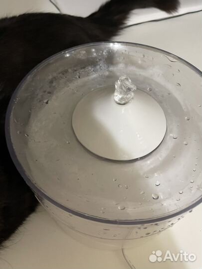 Фонтан поилка для кошек