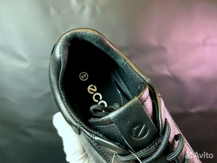 Кроссовки Ecco модные