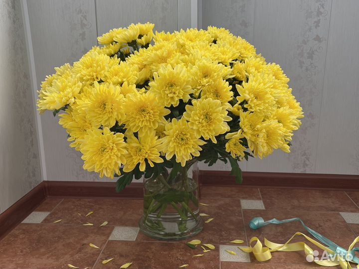 Банка для интерьера флорариум