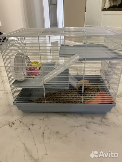 Хомяк и клетка