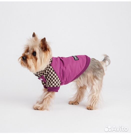 Одежда для собак