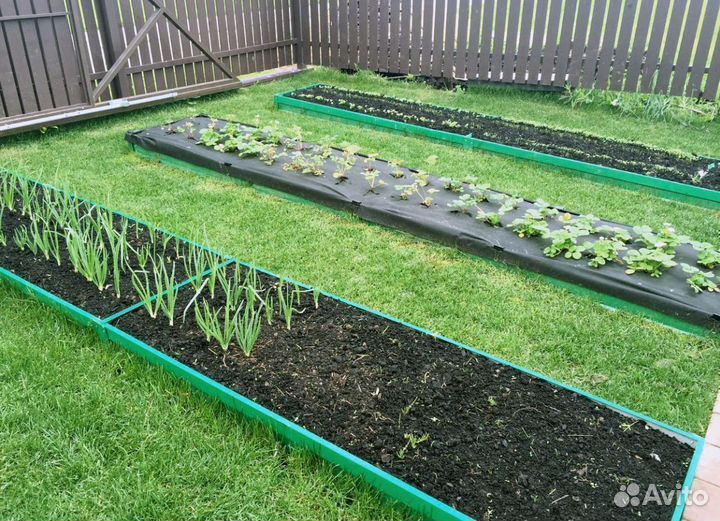 Грядки цветные