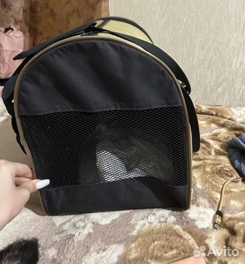 Переноска для кошек