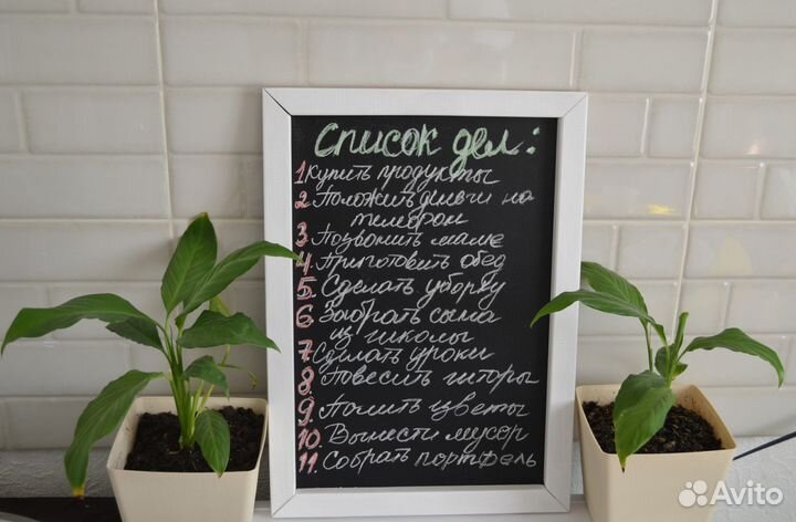 Меловые доски, штендеры