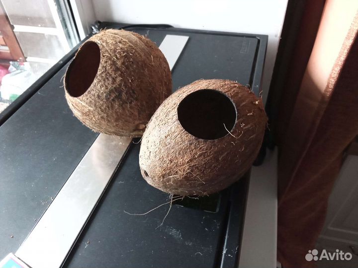 Кокос, кокосовая скорлупа