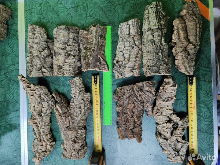 Блоки Кора пробкового дуба