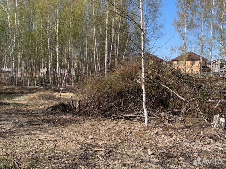 Измельчитель веток аренда, Расчистка участка