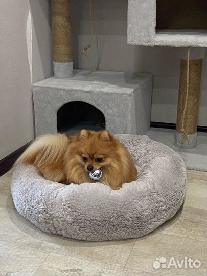 Лежанка 60 см для кошек собак. Много цветов