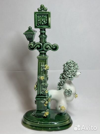 Пудель Дон Жуан