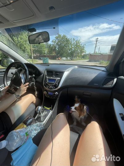 Папийон вязка