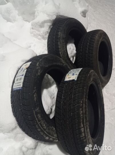 Triangle WinterX TW401 195/65 R15