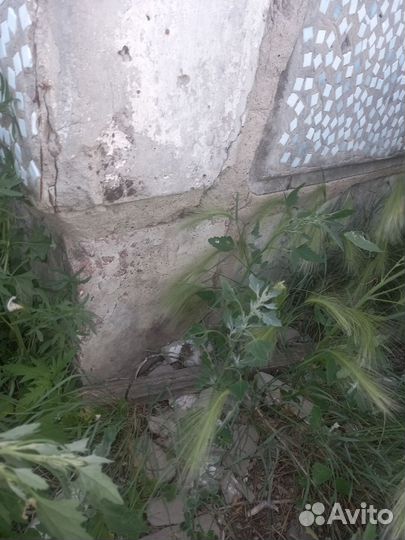 Дом на разбор