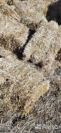 Солома в тюках