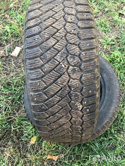 Gislaved Nord Frost 5 205/55 R16 40ZR